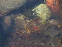 Сплав по реке Умба. Белое море.