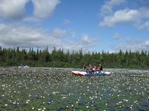 Сплав по реке Умба на катамаранах.